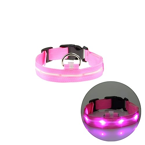 Housoutil Led Haustierhalsband Mit Einstellbarem Nylon Und Reflektierender Beleuchtung Geeignet Für Kleine Hunde Nacht-sicherheits-Accessoire Für Sichtbarkeit Und Schutz von Housoutil