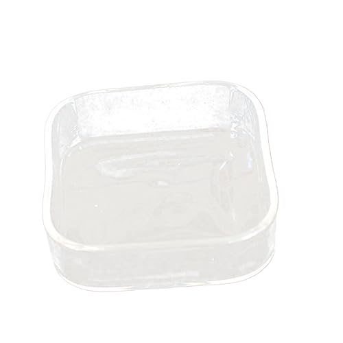 small Animal Food Glass Food Container Kleintiertränke schleichtiere Futterspender für Haustiere Futterschale für Eidechsen runden Haustiernapf Ausrüstung Fressnapf Zubringer von Housoutil