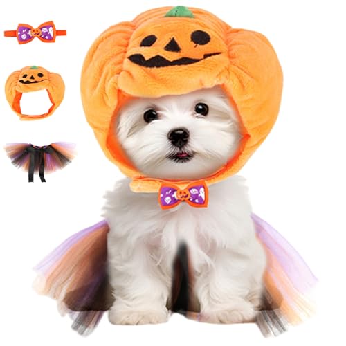 3-teiliges Katzen-Halloween-Kostümset, süße Kürbishüte für Katzen und Hunde mit Fliege und Netzlätzchen, Verkleidungszubehör für Halloween-Hüte für, Kostüme 3-teiliges Katzen-Halloween-Kostümset, süße Kürbishüte für Katzen und Hunde mit Fliege und Netzlätzchen, Verkleidungszubehör für Halloween-Hüte für, Kostüme von HoveeLuty