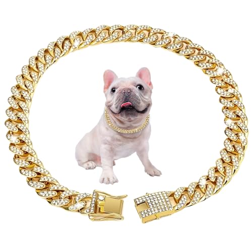Cuban Link Hundehalsband 17, 7'' Cuban Link Kette für Hunde Legierung Diamant Gold Kette für Hunde Bling Halsband Hundeschmuck für Katzen Welpen Geschenke fü Cuban Link Hundehalsband 17, 7'' Cuban Link Kette für Hunde Legierung Diamant Gold Kette für Hunde Bling Halsband Hundeschmuck für Katzen Welpen Geschenke fü von HoveeLuty