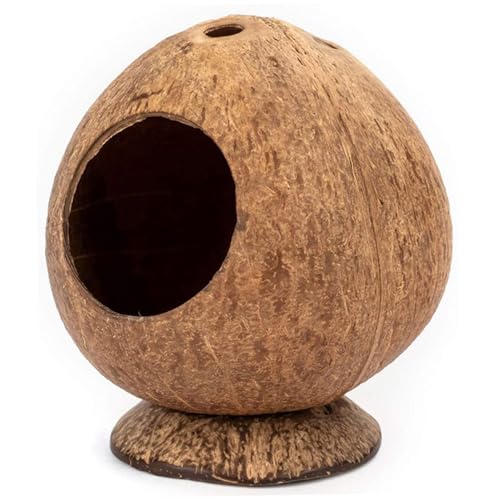 Hamsterhaus, 13, 5 x 12, 9 cm, kokosnussförmiges Hamsterversteck mit stabiler Basis und 5, 6 cm Loch, natürliches, atmungsaktives Hamsterversteck, dekorative, erholsame Hamsterhütte für Hamsterkäfig Hamsterhaus, 13, 5 x 12, 9 cm, kokosnussförmiges Hamsterversteck mit stabiler Basis und 5, 6 cm Loch, natürliches, atmungsaktives Hamsterversteck, dekorative, erholsame Hamsterhütte für Hamsterkäfig von HoveeLuty