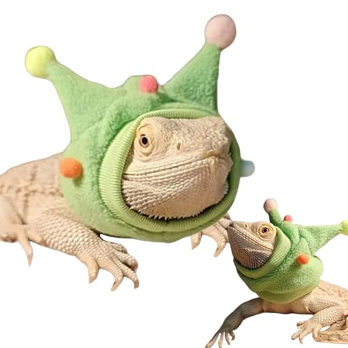 HoveeLuty Haustierhüte, Eidechsenkostüm, lustige Bartagamenkleidung mit Pompons, Bartagamenkostüm für Reptilien-Cosplay-Outfits, grünes Bartagamenkostüm, Haustierbekleidung HoveeLuty Haustierhüte, Eidechsenkostüm, lustige Bartagamenkleidung mit Pompons, Bartagamenkostüm für Reptilien-Cosplay-Outfits, grünes Bartagamenkostüm, Haustierbekleidung von HoveeLuty