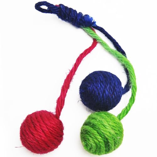 HoveeLuty Katzenspielzeug zum Aufhängen, kratzfestes, interaktives Katzenspielzeug mit 3 Sisalbällen, Selbstspiel- für Hauskatzen, Biss- und verschleißfestes zum Aufhängen, K HoveeLuty Katzenspielzeug zum Aufhängen, kratzfestes, interaktives Katzenspielzeug mit 3 Sisalbällen, Selbstspiel- für Hauskatzen, Biss- und verschleißfestes zum Aufhängen, K von HoveeLuty