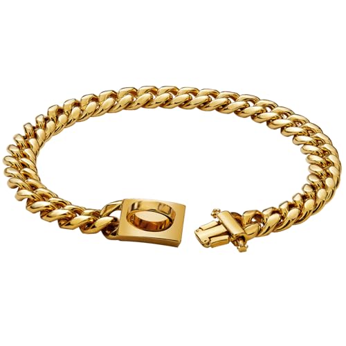Hundekettenhalsbänder, 19 mm Dickes Hundehalsband aus goldenem Metall, Hundekette aus Edelstahl mit Schnalle, Starkes, strapazierfähiges Hundehalsband, Haustierhalsband für kleine, mittelgroße un Hundekettenhalsbänder, 19 mm Dickes Hundehalsband aus goldenem Metall, Hundekette aus Edelstahl mit Schnalle, Starkes, strapazierfähiges Hundehalsband, Haustierhalsband für kleine, mittelgroße un von HoveeLuty
