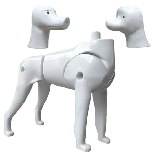 Hundepuppe, Zwergspitz und Pudel, 2-in-1-Hundemodell für die Fellpflegepraxis, realistische Standard-Hundepuppe für das Schönheitstraining, Hundestatue, realistischer Hund, Hundepflegebedarf Hundepuppe, Zwergspitz und Pudel, 2-in-1-Hundemodell für die Fellpflegepraxis, realistische Standard-Hundepuppe für das Schönheitstraining, Hundestatue, realistischer Hund, Hundepflegebedarf von HoveeLuty