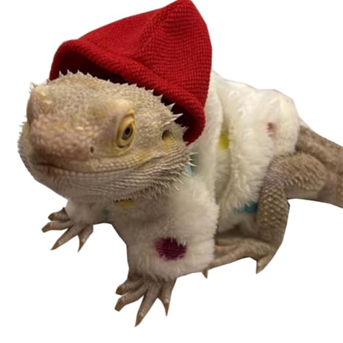 Mantel Bartagamen-Kleidung, weiche Hoodies, Pullover, Mantel, Bartagamen-Kostüm, Hautschutz, Fotoparty für Eidechsen, Geckos, Tierkostüm, Haustierkostüm, Zubehör von HoveeLuty