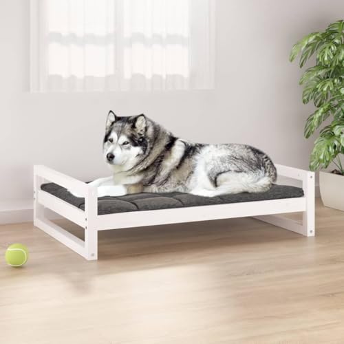 Hovothy Hundebett Bequeme Haustierbett Rechteckige Welpenbett Schlafplatz für Hunde als Auch Katzen Geeignet Massives Kiefernholz Wasserabweisend und Langlebig Weiß 105,5x75,5x28 cm Hovothy Hundebett Bequeme Haustierbett Rechteckige Welpenbett Schlafplatz für Hunde als Auch Katzen Geeignet Massives Kiefernholz Wasserabweisend und Langlebig Weiß 105,5x75,5x28 cm von Hovothy