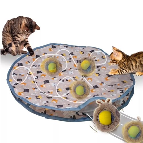 HowseHold Interaktives Katzenballspielzeug für Indoor-Katzen Erwachsene – stimulierendes Verstecken, Jagdinstinkte, schnelle Bewegung und Montion aktiviert, geeignet für Katzen und Kätzchen HowseHold Interaktives Katzenballspielzeug für Indoor-Katzen Erwachsene – stimulierendes Verstecken, Jagdinstinkte, schnelle Bewegung und Montion aktiviert, geeignet für Katzen und Kätzchen von HowseHold
