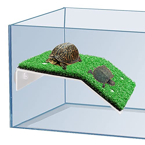 Schildkröte Ruhen Basking Plattform Simulation Gras Schildkröte Rampe, Rasen Schildkröte Klettern Leiter Schildkröte Ruhen Terrasse für Reptilien Frosch Terrapin von Hoypeyfiy