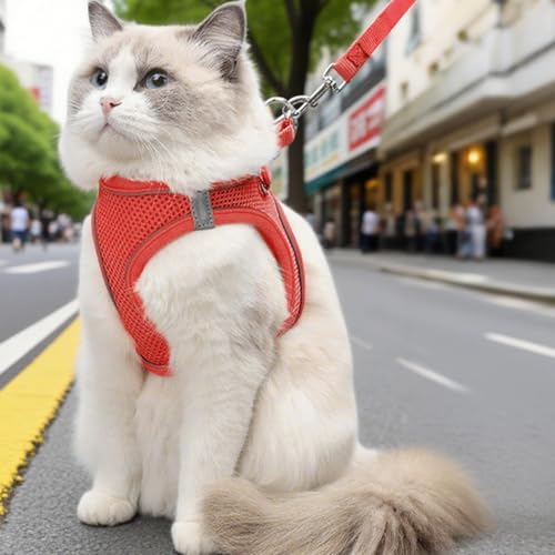 Hozaenwa Fluchtsicheres Katzen Geschirr - Weiches Mesh-Geschirr Mit Reflektierenden Sicherheitsstreifen - Haustierzubehör Für Kleine Mittelgroße Große Tiere Reisen Rucksack Outdoor Wandern von Hozaenwa
