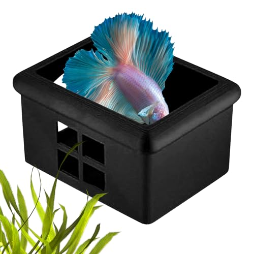 Hozaenwa Schwimmendes Aquarium Versteck - Schwebende Höhle Als Futterplatz, Ruhezone & Schutzraum,Dekorative Höhle Mit Fenster Für Wohnung Wohnzimmer Home Hotel Hozaenwa Schwimmendes Aquarium Versteck - Schwebende Höhle Als Futterplatz, Ruhezone & Schutzraum,Dekorative Höhle Mit Fenster Für Wohnung Wohnzimmer Home Hotel von Hozaenwa