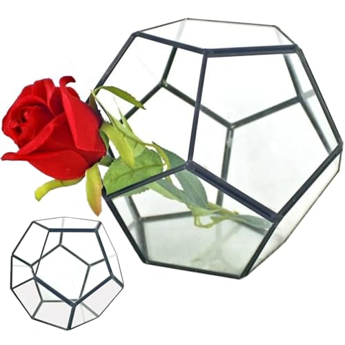 Glaspflanzenterrarium, schwarzes Schweißpentagon Glass -Terrarium mit Tür, geometrisch für Farne geschlossen, Sukkulenten - kleine Schwarze 7.1x7.1x5, 5 von Hperu