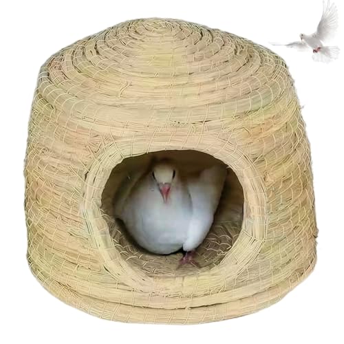 Hperu Vogelnest für Käfig, strohbewobenes Vogelhaus für Käfig, 11,8 x 8,3 warme Winddichte Sittichschützer, tragbare Vogelschachtel für Vögel, Tauben und Papageien, Sittich Nistkaste Hperu Vogelnest für Käfig, strohbewobenes Vogelhaus für Käfig, 11,8 x 8,3 warme Winddichte Sittichschützer, tragbare Vogelschachtel für Vögel, Tauben und Papageien, Sittich Nistkaste von Hperu
