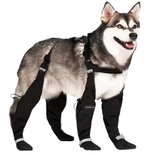 L-Dog Regenstiefel wasserdichte Hundefälle mit Hosenträgern Anti-Rutschhund-Schuhe reflektierende Hundestiefel und Pfotenschutz für mittelgroßen großen Hunden, Hundeschuhe für Wandern, regnerische L-Dog Regenstiefel wasserdichte Hundefälle mit Hosenträgern Anti-Rutschhund-Schuhe reflektierende Hundestiefel und Pfotenschutz für mittelgroßen großen Hunden, Hundeschuhe für Wandern, regnerische von Hperu