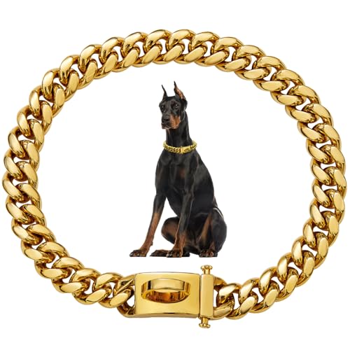 Metallhundkragen 19mm Dicke Gold Metallhundkragen Edelstahlhundkette mit Schnalle Haustierkragen für kleine mittelgroße, große Hunde von Hperu
