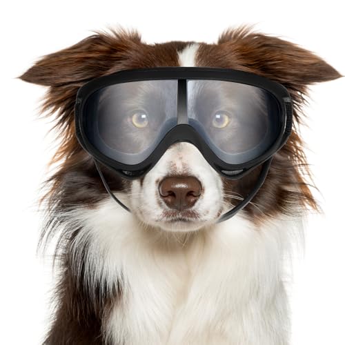 Hpmjz Hundesonnenbrille, UV-Schutz, Wind-, Staub-, Nebelschutz, Haustierbrille für mittelgroße bis große Rassen, transparente Brille, winddicht, Outdoor-Reiten mit verstellbarem Riemen, einfaches von Hpmjz