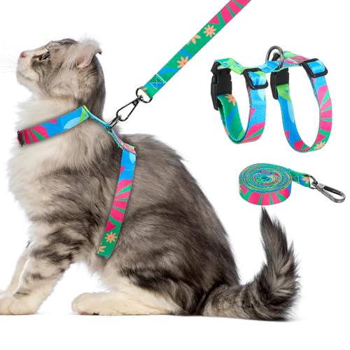 Katzengeschirr und Leine zum Spazierengehen, verstellbar und leicht, einfache Kontrolle, atmungsaktiv, bequem, weich, ausbruchsicher, für große Katzen, sichere und einfache Verwendung im Freien Katzengeschirr und Leine zum Spazierengehen, verstellbar und leicht, einfache Kontrolle, atmungsaktiv, bequem, weich, ausbruchsicher, für große Katzen, sichere und einfache Verwendung im Freien von Hpmjz