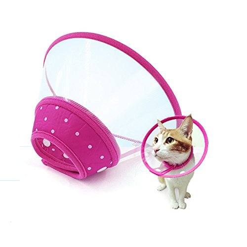 HpyAlwys Medizinisches Hundehalsband, bequem, Kunststoff, für mittelgroße Haustiere von HpyAlwys