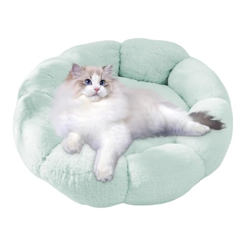 Hqunjikp Beruhigendes Katzenbett, weiche Katzenhöhle, , warme Katzenbetten, beruhigendes Plüsch-Haustierbett, waschbar, Katzennest für kleine Katzen und Indoor-Hunde Hqunjikp Beruhigendes Katzenbett, weiche Katzenhöhle, , warme Katzenbetten, beruhigendes Plüsch-Haustierbett, waschbar, Katzennest für kleine Katzen und Indoor-Hunde von Hqunjikp