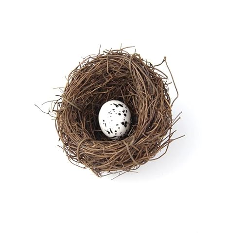 Hrlace künstliches Vogelnest Vogelhäuser Deko-Vogelnest mit Eiern naturgetreues Nest aus Zweigen und Stroh mit Kunsteiern Kunsthandwerk tolle Deko zu Ostern,Frühlingsdekoration 6 cm 1 Vogelei Hrlace künstliches Vogelnest Vogelhäuser Deko-Vogelnest mit Eiern naturgetreues Nest aus Zweigen und Stroh mit Kunsteiern Kunsthandwerk tolle Deko zu Ostern,Frühlingsdekoration 6 cm 1 Vogelei von Hrlace