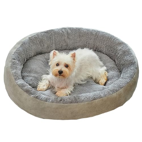 Hruile Hundebett, Sofa, superweiche Haustiermatratze, bequeme Plüsch-Hundematte, Kissen mit rutschfester Unterseite, beruhigend, Anti-Angst, für Welpen und Katzen, Schlafkissen für drinnen und draußen Hruile Hundebett, Sofa, superweiche Haustiermatratze, bequeme Plüsch-Hundematte, Kissen mit rutschfester Unterseite, beruhigend, Anti-Angst, für Welpen und Katzen, Schlafkissen für drinnen und draußen von Hruile