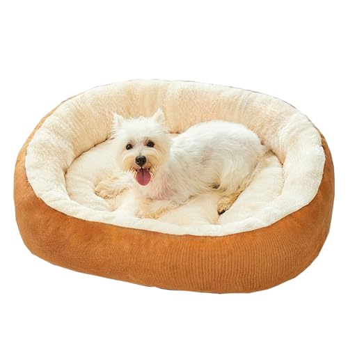 Hruile Hundebett, Sofa, superweiche Haustiermatratze, bequeme Plüsch-Hundematte, Kissen mit rutschfester Unterseite, beruhigend, Anti-Angst, für Welpen und Katzen, Schlafkissen für drinnen und draußen Hruile Hundebett, Sofa, superweiche Haustiermatratze, bequeme Plüsch-Hundematte, Kissen mit rutschfester Unterseite, beruhigend, Anti-Angst, für Welpen und Katzen, Schlafkissen für drinnen und draußen von Hruile