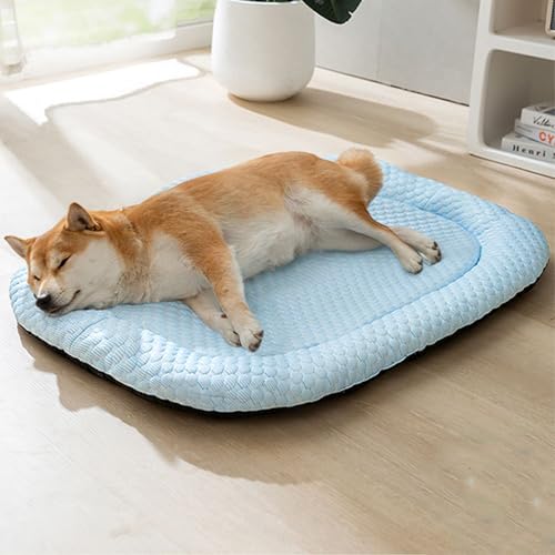 Hruile Kühlendes Sommerbett, waschbar, Matratze, erhöhter Rand, Haustier-Schlafmatte, atmungsaktive Haustiermatten für Katzen und kleine, mittelgroße Hunde mit rutschfester Unterseite, 80 x 60 x 5 cm Hruile Kühlendes Sommerbett, waschbar, Matratze, erhöhter Rand, Haustier-Schlafmatte, atmungsaktive Haustiermatten für Katzen und kleine, mittelgroße Hunde mit rutschfester Unterseite, 80 x 60 x 5 cm von Hruile