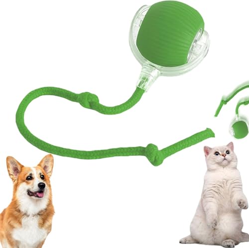 HshDUti Chewie Virals Rolling Ball, Chewie Ball für Katzen Hunde, Interaktives Hund Katze Smart Balls Spielzeug, Chewie Doggie Ball, 360° Smart Automatisches Rollen Große Kleine Katzen & Hunde HshDUti Chewie Virals Rolling Ball, Chewie Ball für Katzen Hunde, Interaktives Hund Katze Smart Balls Spielzeug, Chewie Doggie Ball, 360° Smart Automatisches Rollen Große Kleine Katzen & Hunde von HshDUti
