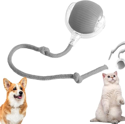 HshDUti Chewie Virals Rolling Ball, Chewie Ball für Katzen Hunde, Interaktives Hund Katze Smart Balls Spielzeug, Chewie Doggie Ball, 360° Smart Automatisches Rollen Große Kleine Katzen & Hunde HshDUti Chewie Virals Rolling Ball, Chewie Ball für Katzen Hunde, Interaktives Hund Katze Smart Balls Spielzeug, Chewie Doggie Ball, 360° Smart Automatisches Rollen Große Kleine Katzen & Hunde von HshDUti