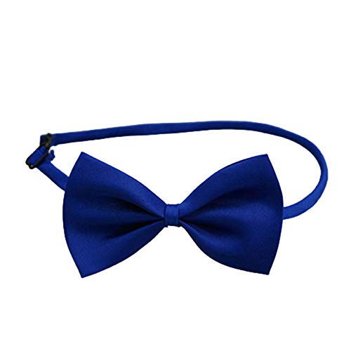 HshDUti Fliege für Hunde und Katzen, mit verstellbarem Halsband, einfarbig, verstellbar, für kleine und mittelgroße Hunde, Welpen, für Partys, Hochzeiten, Geburtstage, Blau HshDUti Fliege für Hunde und Katzen, mit verstellbarem Halsband, einfarbig, verstellbar, für kleine und mittelgroße Hunde, Welpen, für Partys, Hochzeiten, Geburtstage, Blau von HshDUti