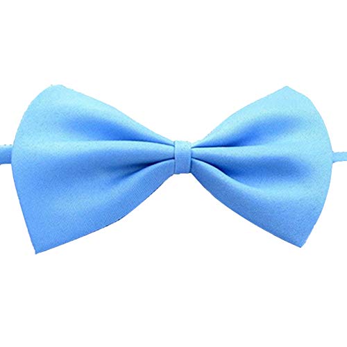 HshDUti Fliege für Hunde und Katzen, mit verstellbarem Halsband, einfarbig, verstellbar, für kleine und mittelgroße Hunde, Welpen, für Partys, Hochzeiten, Geburtstage, Hellblau HshDUti Fliege für Hunde und Katzen, mit verstellbarem Halsband, einfarbig, verstellbar, für kleine und mittelgroße Hunde, Welpen, für Partys, Hochzeiten, Geburtstage, Hellblau von HshDUti