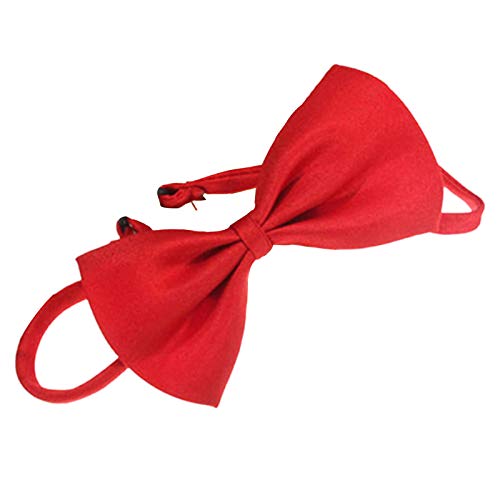 HshDUti Haustier-Fliege mit verstellbarem Halsband, einfarbig, verstellbar, für kleine, mittelgroße und große Hunde, Welpen, Katzen, für Party, Hochzeit, Geburtstag, Rot HshDUti Haustier-Fliege mit verstellbarem Halsband, einfarbig, verstellbar, für kleine, mittelgroße und große Hunde, Welpen, Katzen, für Party, Hochzeit, Geburtstag, Rot von HshDUti