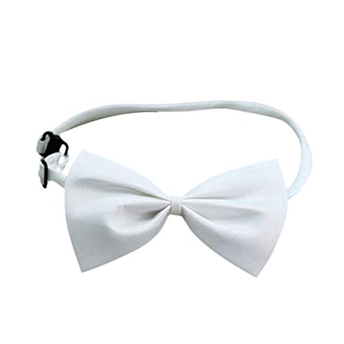 HshDUti Fliege für Hunde und Katzen, mit verstellbarem Halsband, einfarbig, verstellbar, für kleine und mittelgroße Hunde, Welpen, für Partys, Hochzeiten, Geburtstage, Weiß HshDUti Fliege für Hunde und Katzen, mit verstellbarem Halsband, einfarbig, verstellbar, für kleine und mittelgroße Hunde, Welpen, für Partys, Hochzeiten, Geburtstage, Weiß von HshDUti