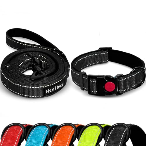 Doppelseitige, reflektierende Hundeleine, 152 cm, gepolsterter Griff, Nylon, für mittelgroße und große Hunde, verstärkte reflektierende Schnalle, Hundehalsband, Schwarz, Größe L Doppelseitige, reflektierende Hundeleine, 152 cm, gepolsterter Griff, Nylon, für mittelgroße und große Hunde, verstärkte reflektierende Schnalle, Hundehalsband, Schwarz, Größe L von Htnlbqy