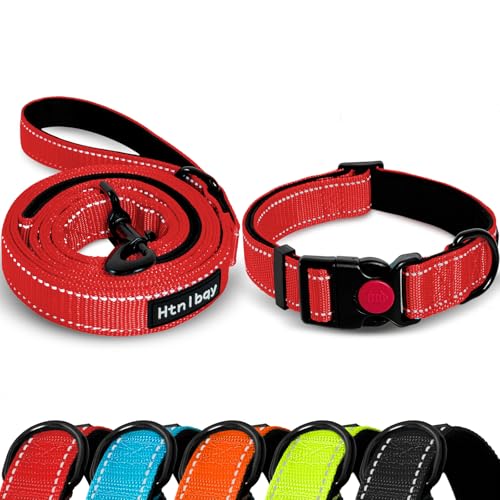 Große Hundeleine mit bequemem, gepolstertem Griff, stark reflektierende Fäden, Hundeleine für große Hunde, verstellbares Hundehalsband mit verstärkten reflektierenden Streifen, Rot, Größe L Große Hundeleine mit bequemem, gepolstertem Griff, stark reflektierende Fäden, Hundeleine für große Hunde, verstellbares Hundehalsband mit verstärkten reflektierenden Streifen, Rot, Größe L von Htnlbqy