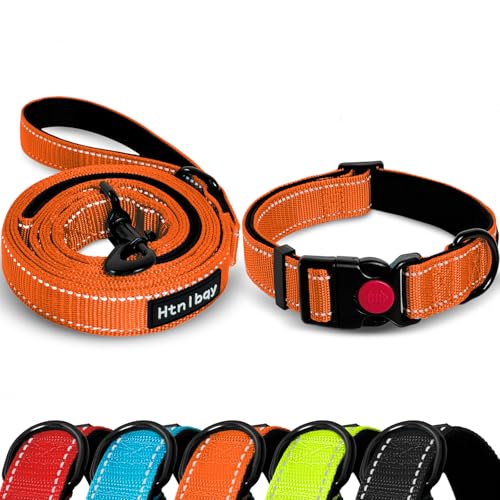 Hundeleine aus Nylon mit gepolstertem Griff, für mittelgroße und große Hunde, reflektierendes Hundehalsband, verstellbar, für mittelgroße Hunde, 152 cm, Orange, Größe L Hundeleine aus Nylon mit gepolstertem Griff, für mittelgroße und große Hunde, reflektierendes Hundehalsband, verstellbar, für mittelgroße Hunde, 152 cm, Orange, Größe L von Htnlbqy