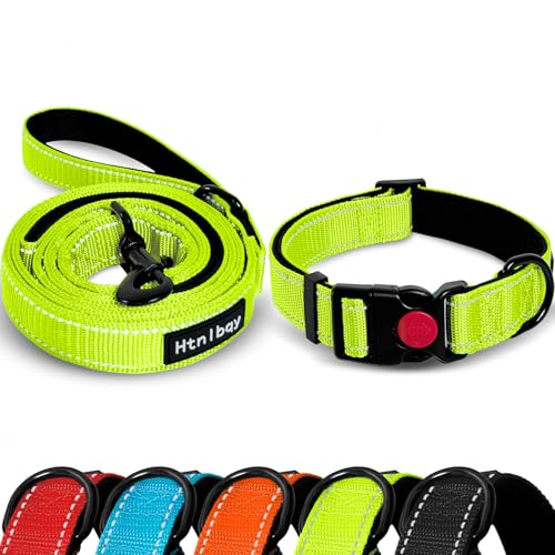 Hundeleine für mittelgroße und große Hunde, verstärktes dickes Nylon, mit reflektierender Oberfläche und weichem Handgriff, 152 cm, Hellgrün, Größe L Hundeleine für mittelgroße und große Hunde, verstärktes dickes Nylon, mit reflektierender Oberfläche und weichem Handgriff, 152 cm, Hellgrün, Größe L von Htnlbqy
