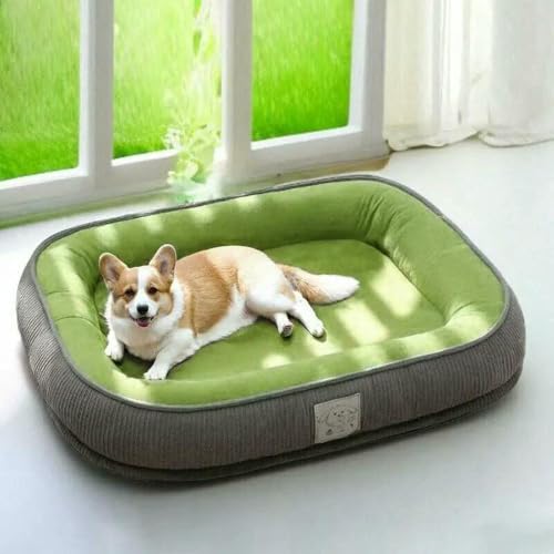 HtoxinDian Abnehmbares und waschbares Hundebett für alle Jahreszeiten für kleine/mittelgroße Hunde – Thermo-Winter-Sofakissenmatte für Haustiere mit abnehmbarem Bezug HtoxinDian Abnehmbares und waschbares Hundebett für alle Jahreszeiten für kleine/mittelgroße Hunde – Thermo-Winter-Sofakissenmatte für Haustiere mit abnehmbarem Bezug von HtoxinDian