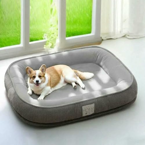 HtoxinDian Abnehmbares und waschbares Hundebett für alle Jahreszeiten für kleine/mittelgroße Hunde – Thermo-Winter-Sofakissenmatte für Haustiere mit abnehmbarem Bezug HtoxinDian Abnehmbares und waschbares Hundebett für alle Jahreszeiten für kleine/mittelgroße Hunde – Thermo-Winter-Sofakissenmatte für Haustiere mit abnehmbarem Bezug von HtoxinDian