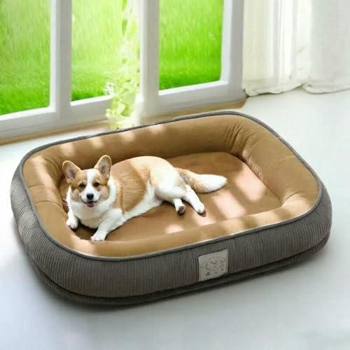 HtoxinDian Abnehmbares und waschbares Hundebett für alle Jahreszeiten für kleine/mittelgroße Hunde – Thermo-Winter-Sofakissenmatte für Haustiere mit abnehmbarem Bezug HtoxinDian Abnehmbares und waschbares Hundebett für alle Jahreszeiten für kleine/mittelgroße Hunde – Thermo-Winter-Sofakissenmatte für Haustiere mit abnehmbarem Bezug von HtoxinDian