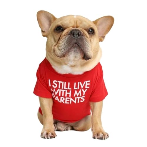 HuGia Bedrucktes Hunde-T-Shirt mit Aufschrift "I Still Live with My Parents", für den Sommer, hochwertig, atmungsaktiv, weiche Buchstaben, bedruckte französische Bulldogge, Kleidung für kleine Hunde, von HuGia