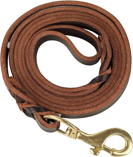 Hundeleine aus Leder, lange Leine für Hundetraining, Ledergürtel, Sicherheitsseil, robuster Kupferverschluss, stilvolles geflochtenes Design für große, mittelgroße und kleine Hunde, Training und Hundeleine aus Leder, lange Leine für Hundetraining, Ledergürtel, Sicherheitsseil, robuster Kupferverschluss, stilvolles geflochtenes Design für große, mittelgroße und kleine Hunde, Training und von HuaDmaing