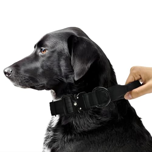 Huali Taktisches Hundehalsband, Premium-Qualität, verstellbar, strapazierfähig, dick, langlebig, mit Schnellverschluss-Metallschnalle, Größe XS (2,5 cm), Schwarz von HuaLiPet