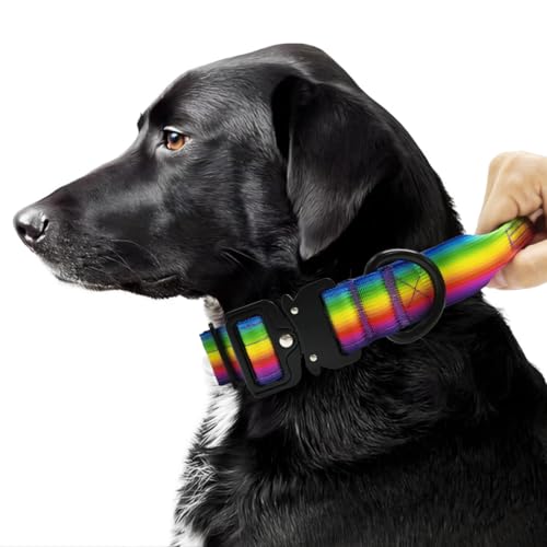 Huali Taktisches Hundehalsband, Premium-Qualität, verstellbar, strapazierfähig, dickes und langlebiges Hundehalsband mit Schnellverschluss-Metallschnalle, Größe S (3,2 cm), Regenbogen von HuaLiPet