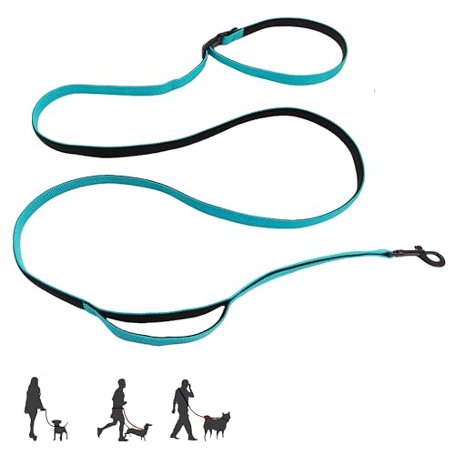 Multifunktionale Hundeleine mit extra Griff, 4-in-1, freihändig, verstellbare Hundeleine zum Joggen, Walken, Laufen, passend für kleine und mittelgroße Hunde (Blau, M) von HuaLiPet