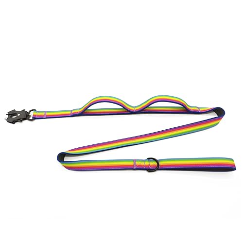 Robuste Hundeleine mit Neopren, gepolstert, bequem, zwei Griffe, doppelte Griffe für Spaziergänge, Training und Verkehrskontrolle, perfekt für mittelgroße und große Hunde (Regenbogen) von HuaLiPet