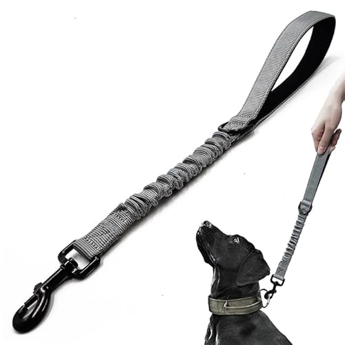 Trainingsleine für Hunde, kurz, 45,7 cm, 2,5 cm breit, strapazierfähig, elastisch, mit gepolstertem Griff, geeignet für mittelgroße und große Hunde, Grau Trainingsleine für Hunde, kurz, 45,7 cm, 2,5 cm breit, strapazierfähig, elastisch, mit gepolstertem Griff, geeignet für mittelgroße und große Hunde, Grau von HuaLiPet