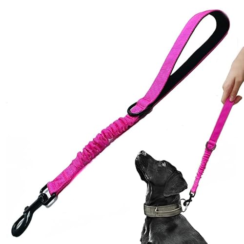 Trainingsleine für Hunde, kurz, 45,7 cm, 2,5 cm breit, strapazierfähig, elastisch, mit gepolstertem Griff, geeignet für mittelgroße und große Hunde, Hot Pink Trainingsleine für Hunde, kurz, 45,7 cm, 2,5 cm breit, strapazierfähig, elastisch, mit gepolstertem Griff, geeignet für mittelgroße und große Hunde, Hot Pink von HuaLiPet