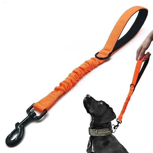 Trainingsleine für Hunde, kurz, 45,7 cm, 2,5 cm breit, strapazierfähig, elastisch, mit gepolstertem Griff, geeignet für mittelgroße und große Hunde, Orange Trainingsleine für Hunde, kurz, 45,7 cm, 2,5 cm breit, strapazierfähig, elastisch, mit gepolstertem Griff, geeignet für mittelgroße und große Hunde, Orange von HuaLiPet