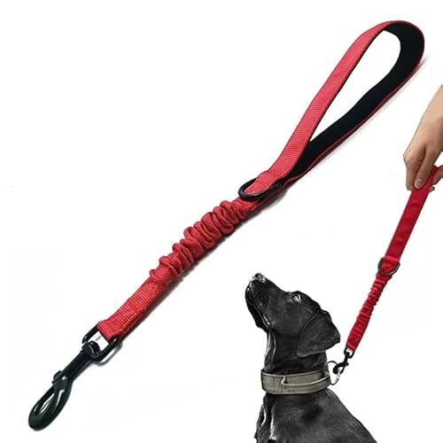 Trainingsleine für Hunde, kurz, 45,7 cm, 2,5 cm breit, strapazierfähig, elastisch, mit gepolstertem Griff, geeignet für mittelgroße und große Hunde, Rot Trainingsleine für Hunde, kurz, 45,7 cm, 2,5 cm breit, strapazierfähig, elastisch, mit gepolstertem Griff, geeignet für mittelgroße und große Hunde, Rot von HuaLiPet